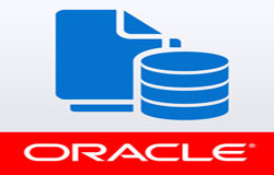 Oracle数据库管理工具有哪些?-北京华体会网页版登录入口公司