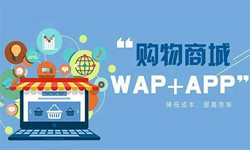手机商城app华体会网页版登录入口流程-北京华体会网页版登录入口外包公司