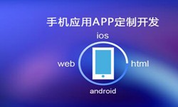 APP开发市场上常见问题分析-北京华体会网页版登录入口公司